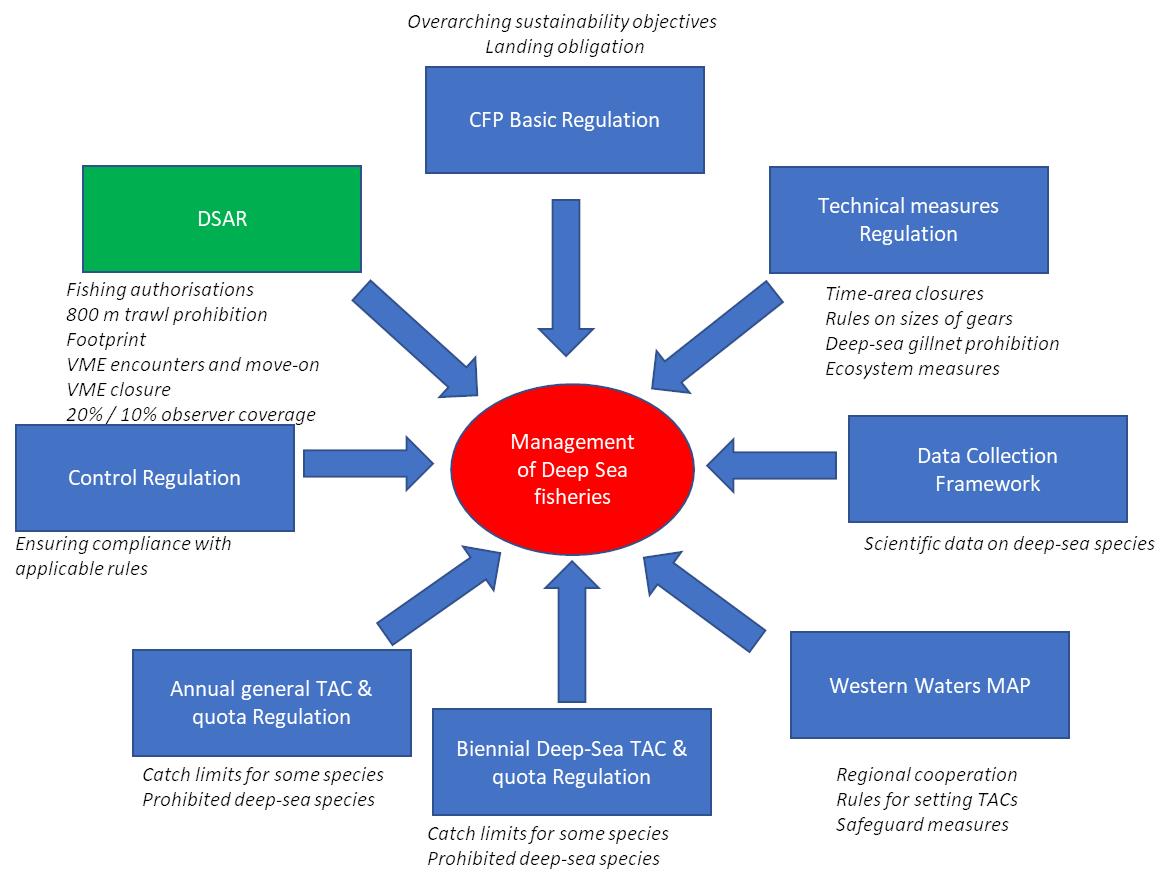 Eur Lex 52021sc0110 En Eur Lex