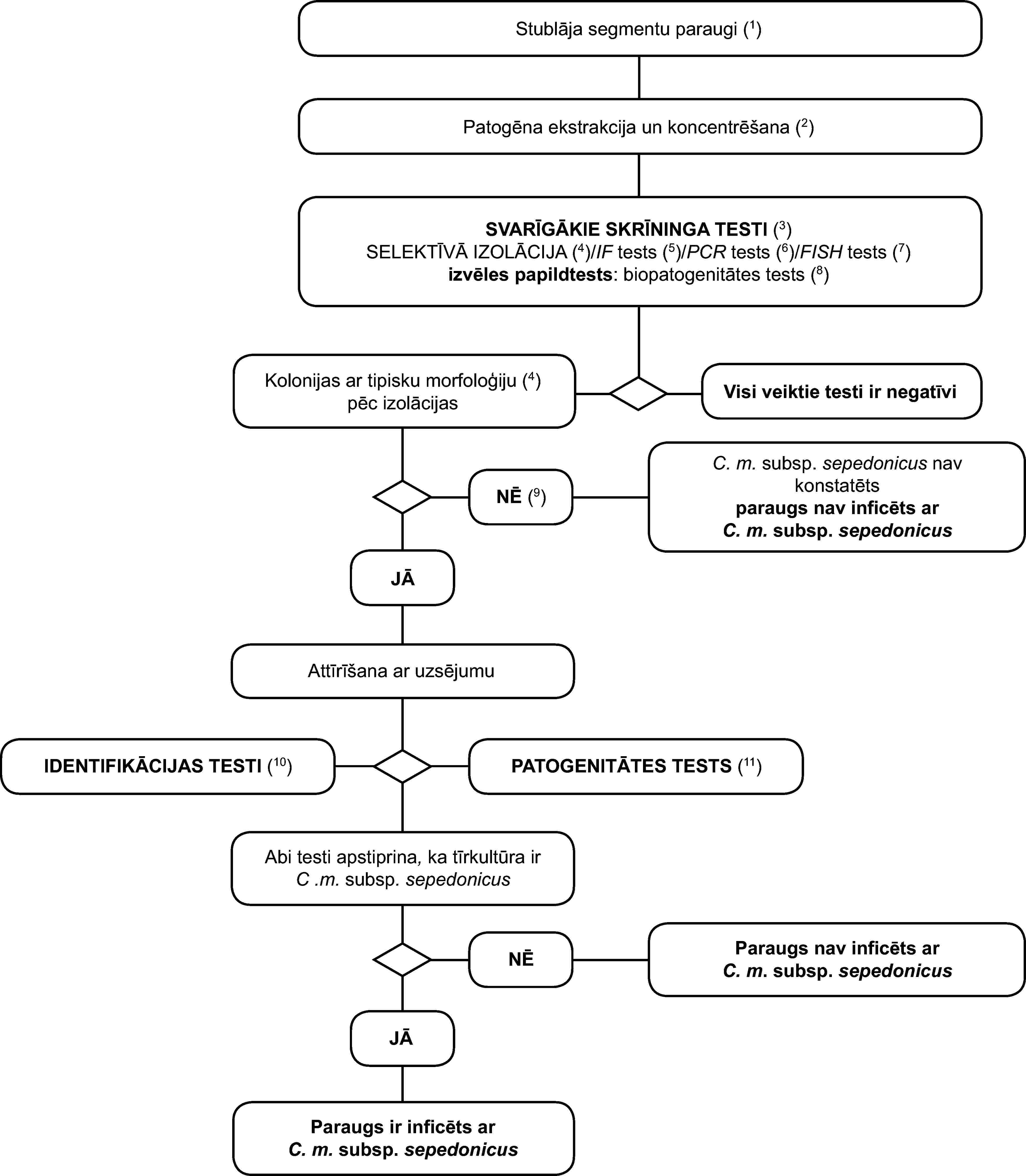 Stublāja segmentu paraugi (1)Patogēna ekstrakcija un koncentrēšana (2)SVARĪGĀKIE SKRĪNINGA TESTI (3)SELEKTĪVĀ IZOLĀCIJA (4)/IF tests (5)/PCR tests (6)/FISH tests (7)izvēles papildtests: biopatogenitātes tests (8)Kolonijas ar tipisku morfoloģiju (4) pēc izolācijasVisi veiktie testi ir negatīviNĒ (9)JĀC. m. subsp. sepedonicus nav konstatētsparaugs nav inficēts arC. m. subsp. sepedonicusAttīrīšana ar uzsējumuIDENTIFIKĀCIJAS TESTI (10)PATOGENITĀTES TESTS (11)Abi testi apstiprina, ka tīrkultūra ir C .m. subsp. sepedonicusNĒJĀParaugs nav inficēts arC. m. subsp. sepedonicusParaugs ir inficēts arC. m. subsp. sepedonicus