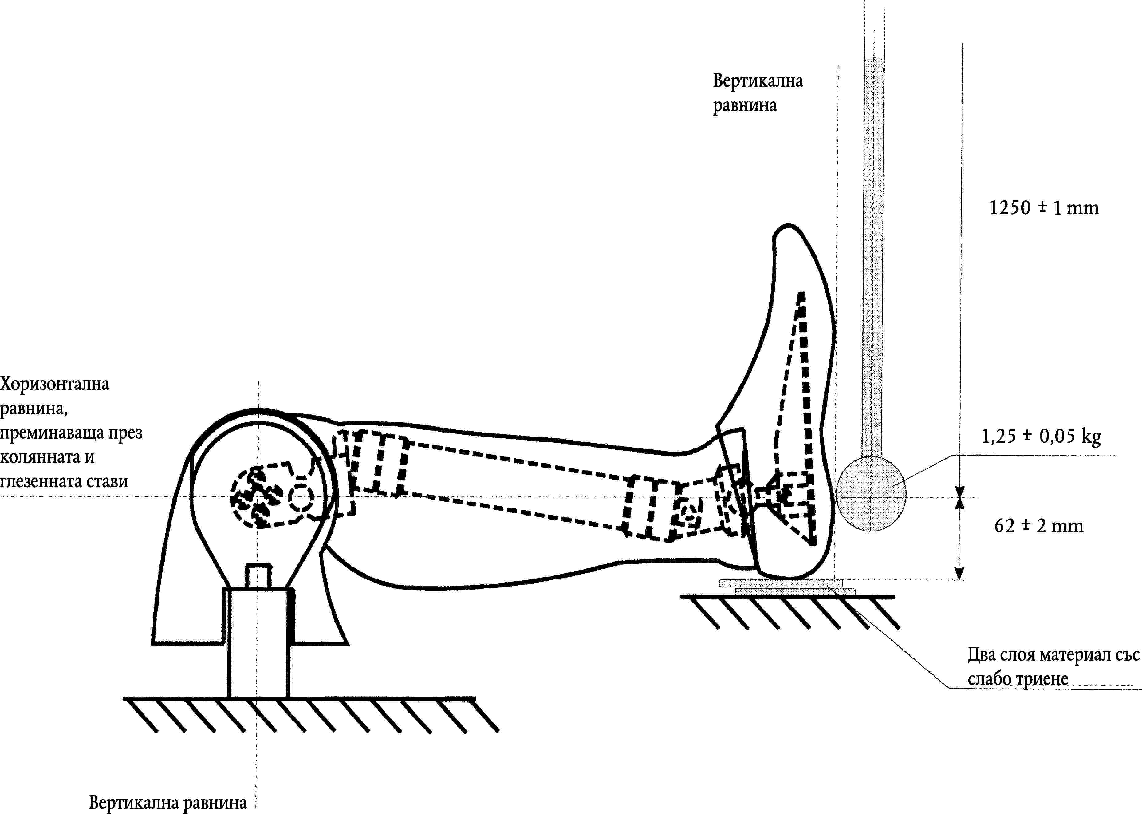Вертикална равнина+1250-1mmХоризонтална равнина, преминаваща през колянната и глезенната стави+1,250,05kg-+622mm-Два слоя материал със слабо триенеВертикална равнина