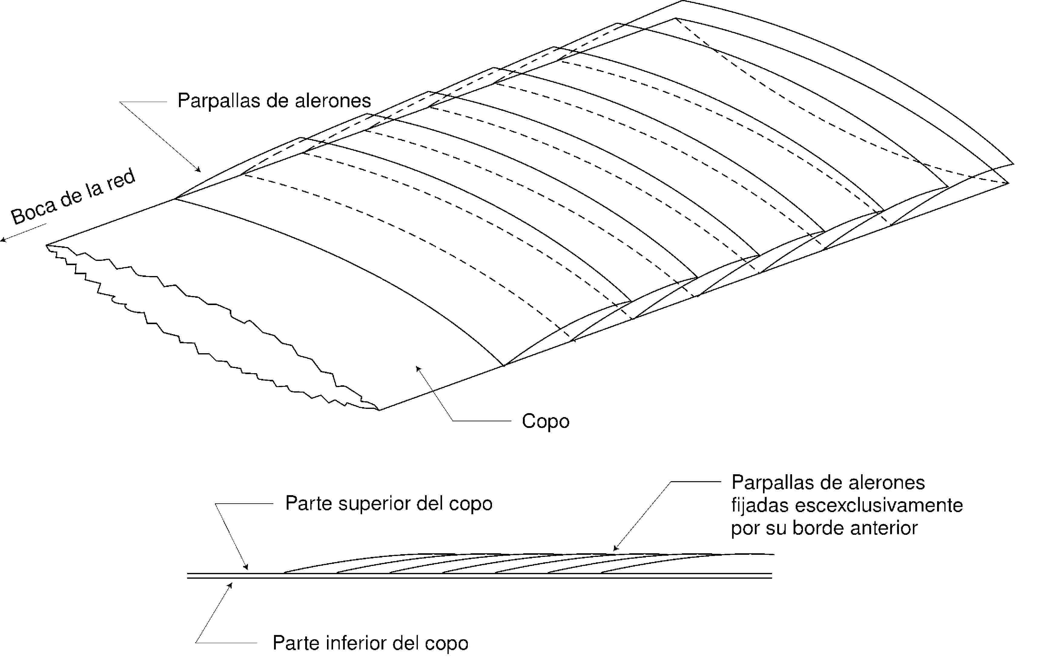 Parpallas de aleronesBoca de la redCopoParte superior del copoParpallas de alerones fijadas escexclusivamente por su borde anteriorParte inferior del copo