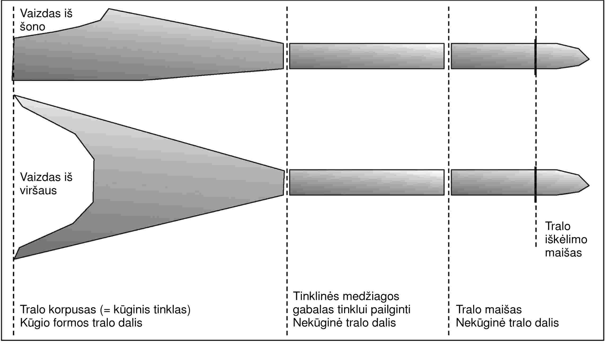 Vaizdas iš šonoVaizdas iš viršausTralo korpusas (= kūginis tinklas)Kūgio formos tralo dalisTinklinės medžiagos gabalas tinklui pailgintiNekūginė tralo dalisTralo maišasNekūginė tralo dalisTralo iškėlimo maišas