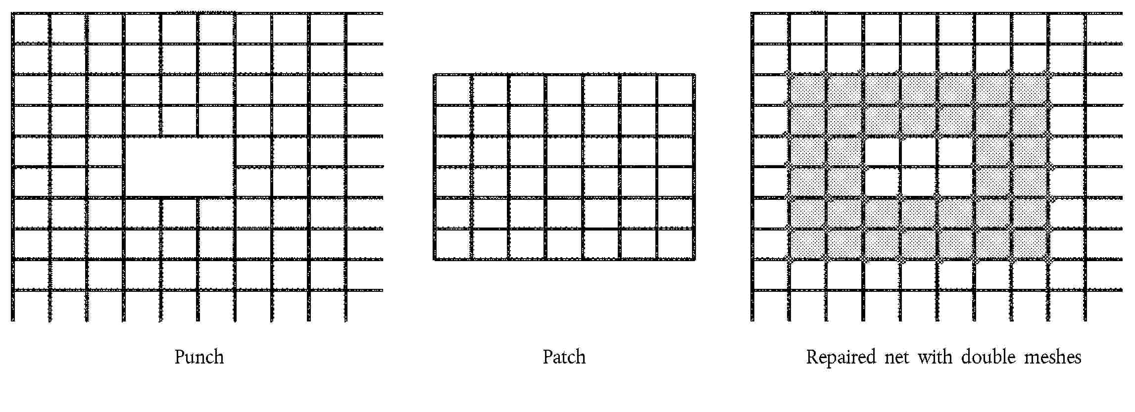 PunchPatchRepaired net with double meshes