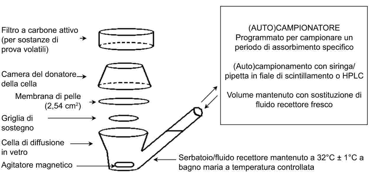 Vetrino per microscopia a carica positiva con bordo smerigliato a 90°. -  Strumentazione per laboratorio