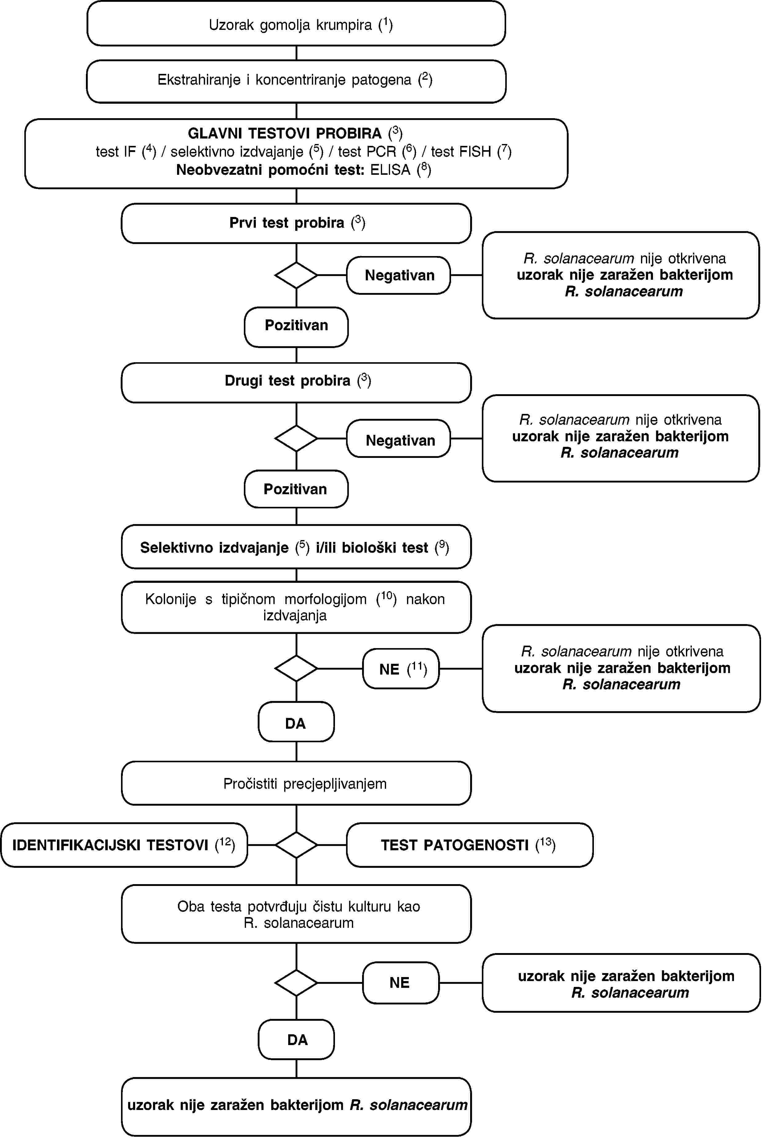Uzorak gomolja krumpira (1)Ekstrahiranje i koncentriranje patogena (2)GLAVNI TESTOVI PROBIRA (3) test IF (4) / selektivno izdvajanje (5) / test PCR (6) / test FISH (7) Neobvezatni pomoćni test: ELISA (8)Prvi test probira (3)NegativanR. solanacearum nije otkrivena uzorak nije zaražen bakterijomR. solanacearumPozitivanDrugi test probira (3)NegativanR. solanacearum nije otkrivena uzorak nije zaražen bakterijomR. solanacearumPozitivanSelektivno izdvajanje (5) i/ili biološki test (9)Kolonije s tipičnom morfologijom (10) nakon izdvajanjaNE (11)R. solanacearum nije otkrivena uzorak nije zaražen bakterijomR. solanacearumDAPročistiti precjepljivanjemIDENTIFIKACIJSKI TESTOVI (12)TEST PATOGENOSTI (13)Oba testa potvrđuju čistu kulturu kao R. solanacearumNEDAuzorak nije zaražen bakterijomR. solanacearumuzorak nije zaražen bakterijom R. solanacearum