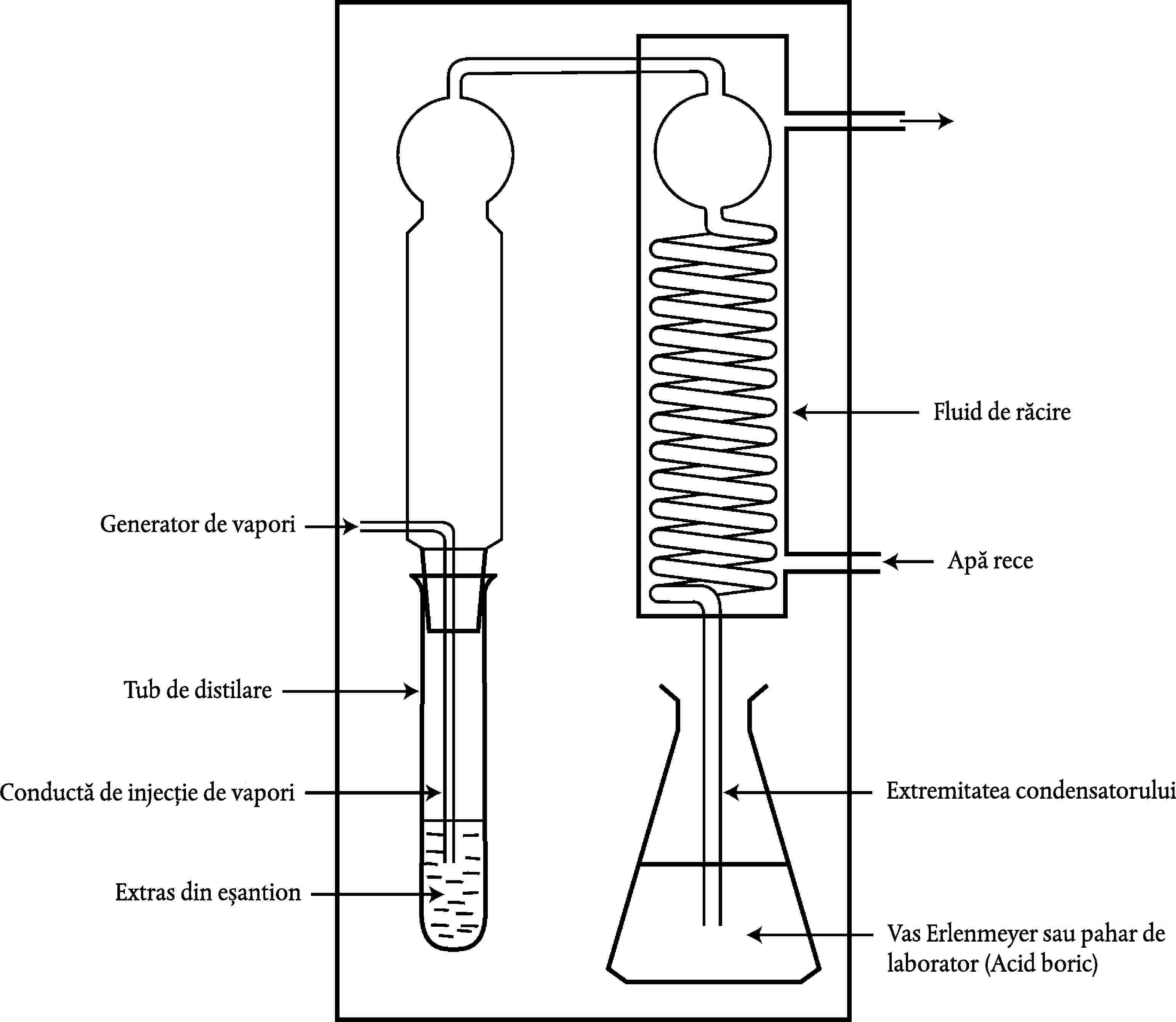 Fluid de răcireGenerator de vaporiApă receTub de distilareExtremitatea condensatoruluiConductă de injecție de vaporiExtras din eșantionVas Erlenmeyer sau pahar de laborator (Acid boric)
