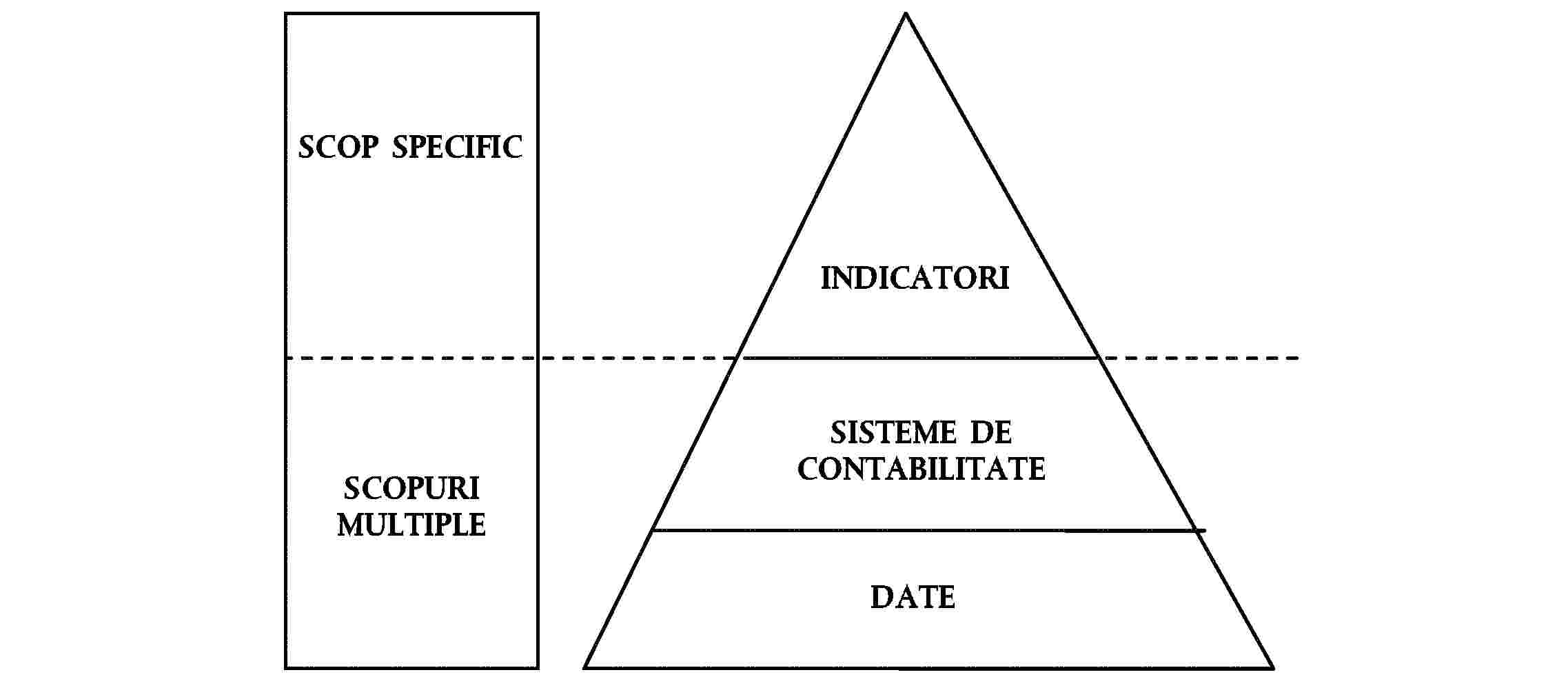 SCOP SPECIFICINDICATORISCOPURI MULTIPLESISTEME DE CONTABILITATEDATE