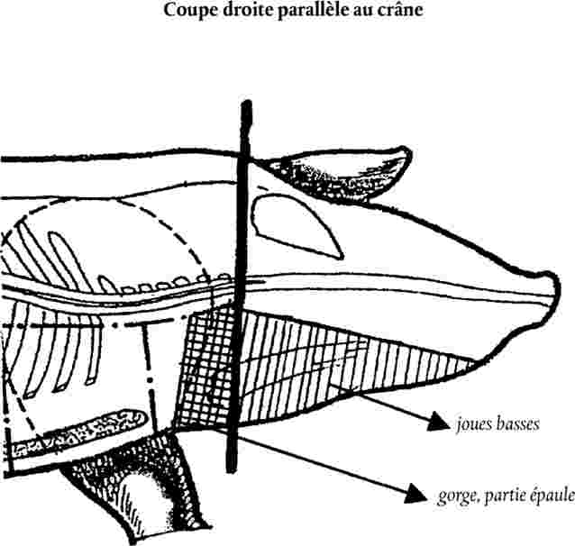 Marque-page Baleine au Lotus ~ - Éditions le Héron d'Argent