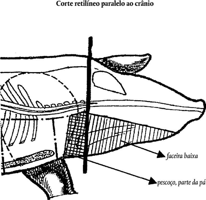 Moda salão de cabeleireiro secador de cabelo ferramentas de corte  cabeleireiro arte da parede impressões cartazes moderno beleza cabeleireiro  quarto