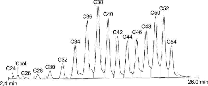 Seringue à mortier 500 ml pour une granulométrie de 0-3 mm acier