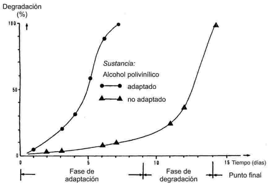 Imagen: https://eur-lex.europa.eu/resource.html?uri=uriserv:OJ.L_.2008.142.01.0001.01.SPA.xhtml.L_2008142ES.01054402.tif.jpg