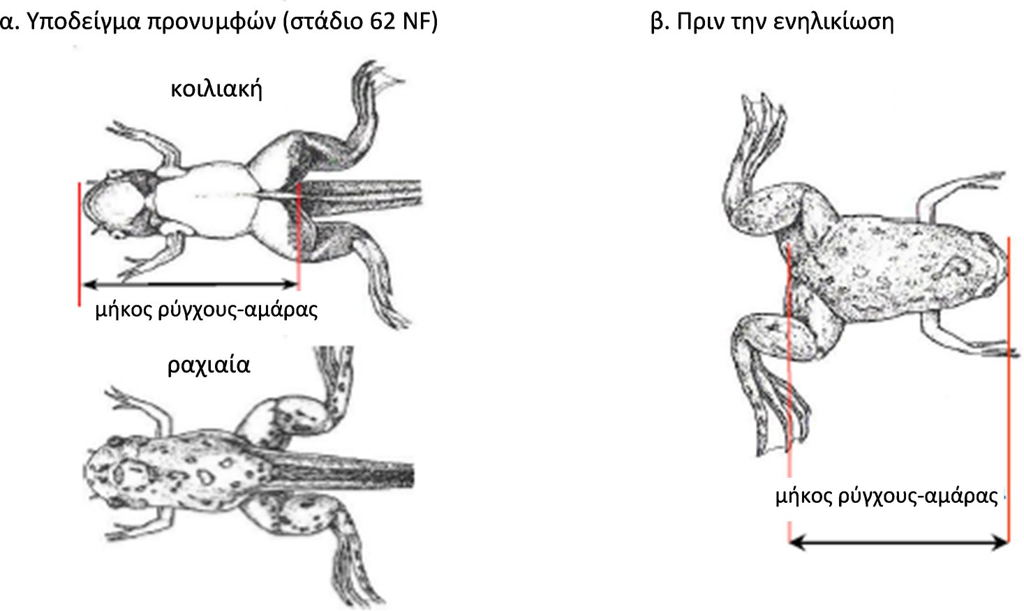 Image 63